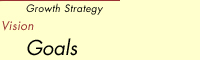 Vision, Corporate Strategy, Goals